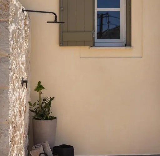 Virida By Vintage Travel * Asos