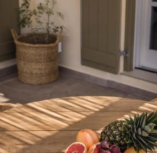 Villa Virida By Vintage Travel Asos